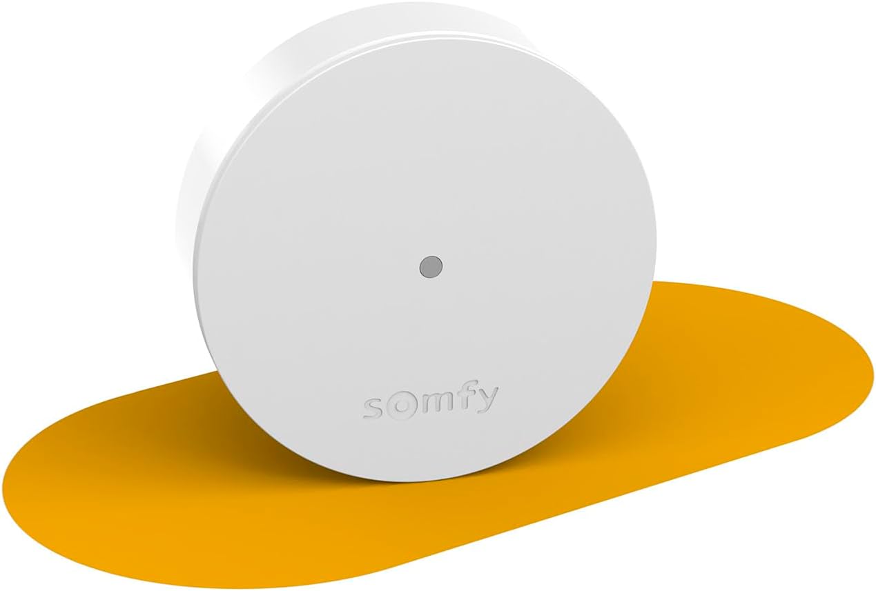 Somfy 2401495 - Releu radio