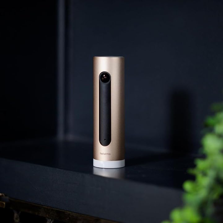 Cameră de securitate inteligentă Netatmo NSC-AMZ