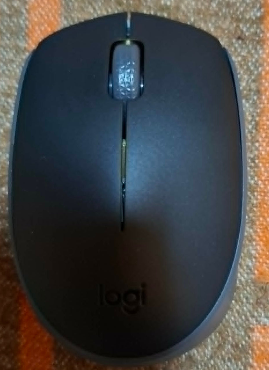Mouse Logitech M171