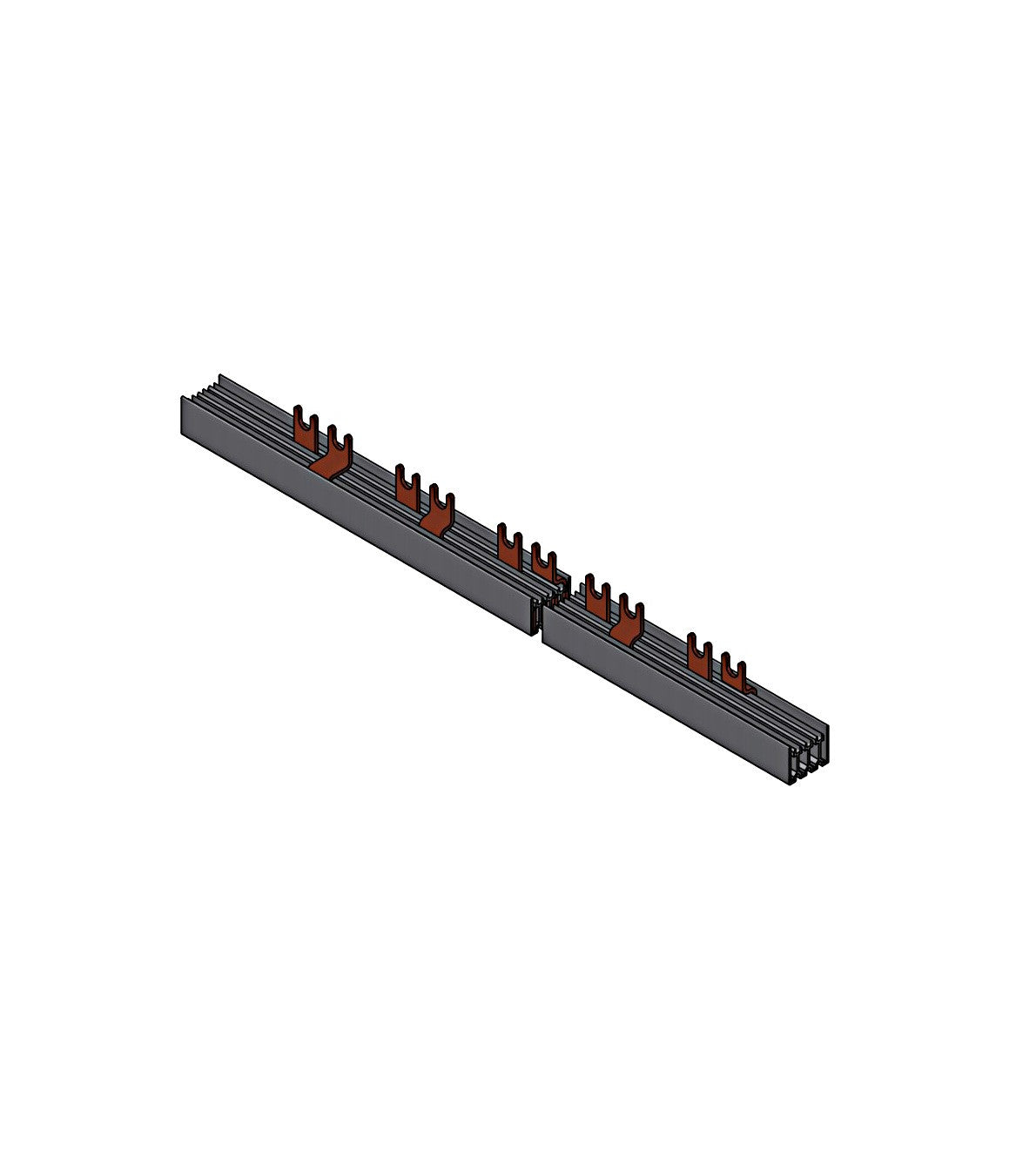 Bareta furca BSB90128