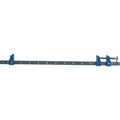 Clema glisanta 24'' KEN-539-3820K