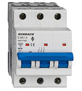 Intreruptor automat AMPARO 10kA AM017363