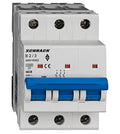 Intreruptor automat AMPARO 10kA AM018302