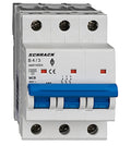 Intreruptor automat AMPARO 10kA AM018304