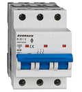 Intreruptor automat AMPARO 10kA AM018320