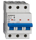 Intreruptor automat AMPARO 10kA AM018363