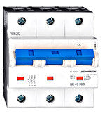 Intreruptor automat C 80A 3 poli 10kA BR973800