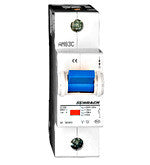 Intreruptor automat C100/1 BR561910