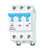 Intreruptor automat C10/3 6kA BM617310