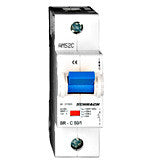 Intreruptor automat C50/ BR571500
