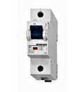 Intreruptor automat D80/1 BR591800