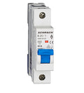Intreruptor automat modular AM618120