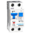 Intreruptor automat si diferential BO217610