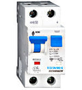 Intreruptor automat si diferential BO218513