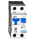 Intreruptor automat si diferential BO517616