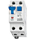 Intreruptor automat si diferential BO668516