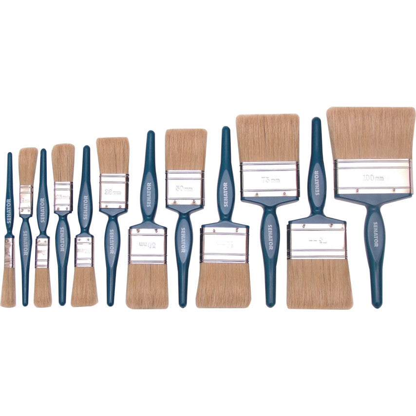 Set 12 pensule pentru vopsit SEN-533-0330K
