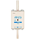 Porfuzibil ISP01160
