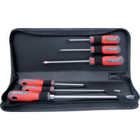 Set 6 surubelnite Pro-Torq KEN-572-5975K