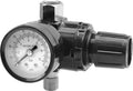 Valva reducere presiune cu manometru 4 cm 81562